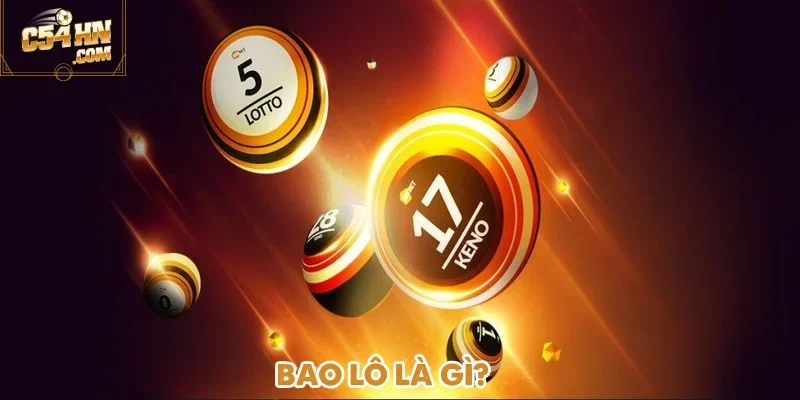 bao-lo-la-gi-