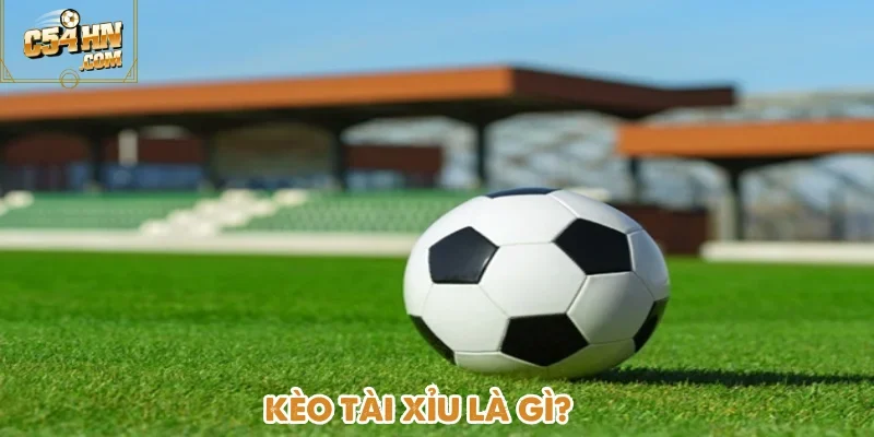 Kèo Tài Xỉu tại C54 thu hút được đông đảo người chơi nhờ sự đơn giản
