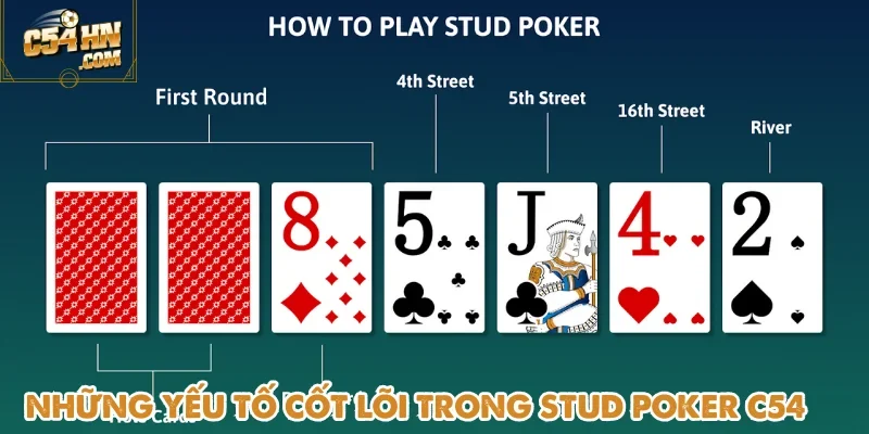 Hiểu rõ thành phần là bước quan trọng giúp tiếp cận Stud Poker C54 hiệu quả